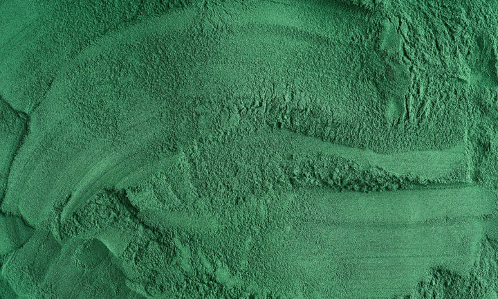 Spirulina in powder form