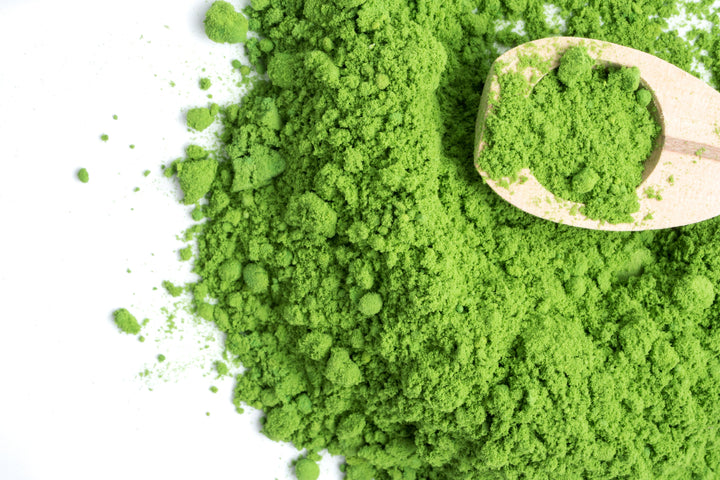 Green barley grass powder