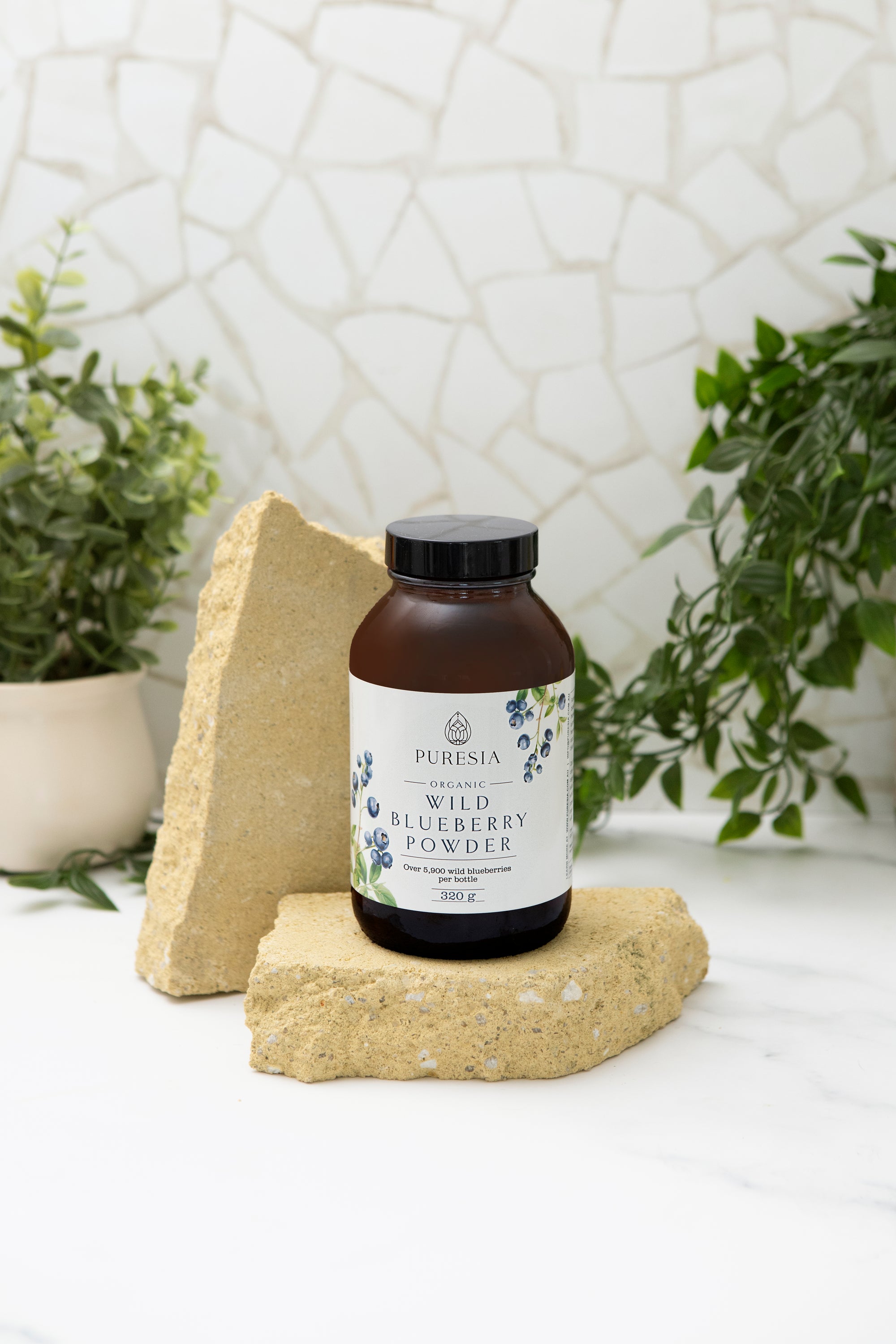 320G Organic Wild Blueberry Powder