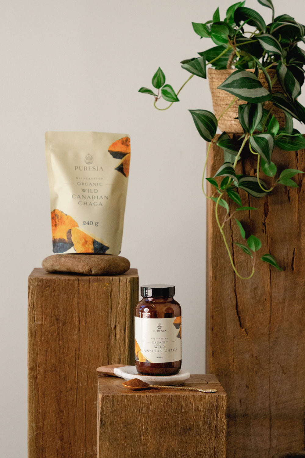 240g Organic Wild Harvested Canadian Chaga Powder