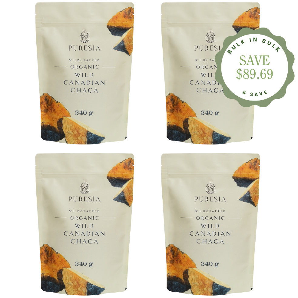 960g Organic Wild Canadian Chaga Powder- Bulk Puresia